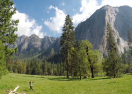 Yosemite Offsite from San Francisco Meadow