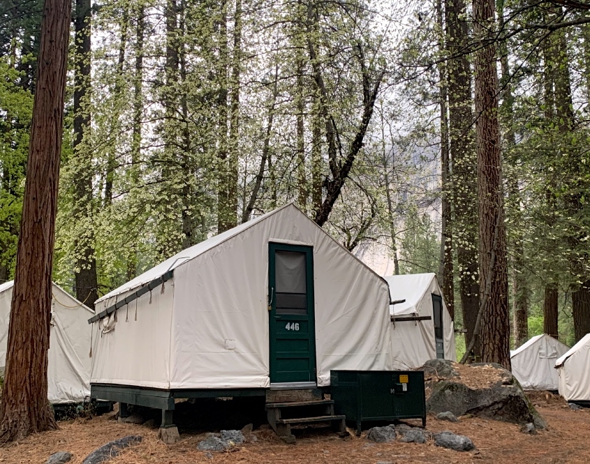 Yosemite Tent Camping