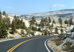 Yosemite Tioga Road